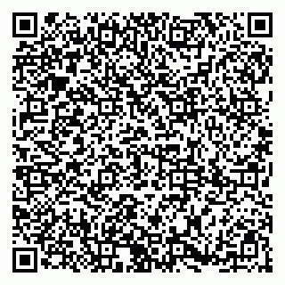 vCard 79185009209