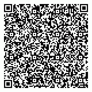 vCard 79185009219