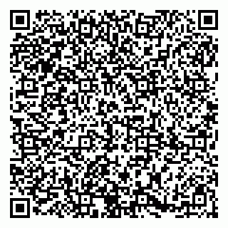 vCard 79185009246