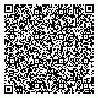 vCard 79185009303
