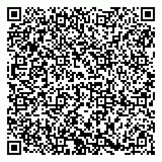 vCard 79185009363