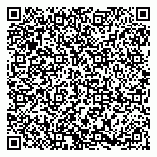 vCard 79185009376