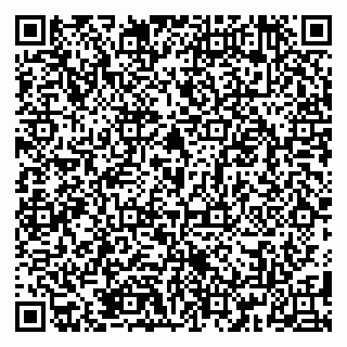vCard 79185009381
