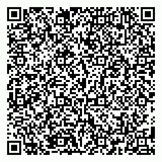 vCard 79185009385