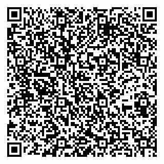 vCard 79185009399