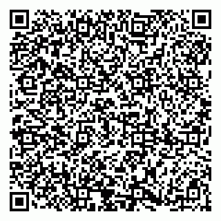 vCard 79185009480