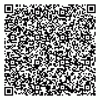 vCard 79185009501