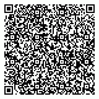 vCard 79185009539
