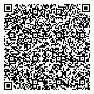 vCard 79185009687