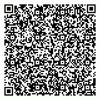 vCard 79185009725