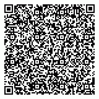 vCard 79185009729