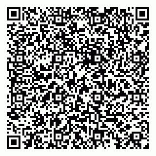 vCard 79185009765