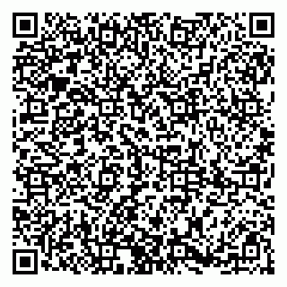 vCard 79185009773