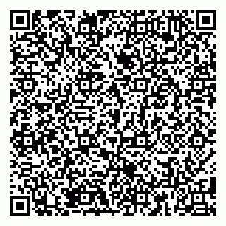 vCard 79185009810