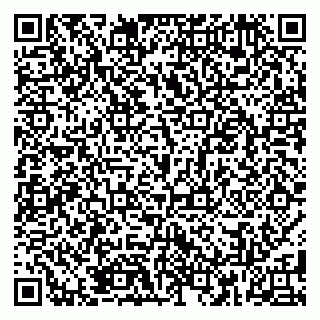 vCard 79185009819