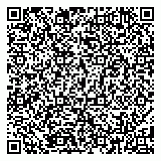 vCard 79185009821