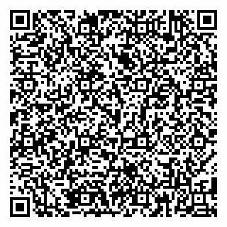 vCard 79185009873