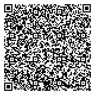 vCard 79185009909