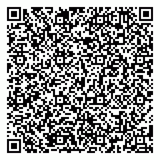 vCard 79185009980