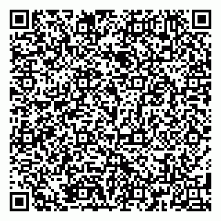 vCard 79185009984