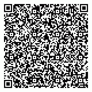 vCard 79185009987