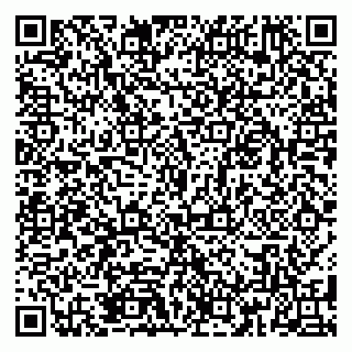 vCard 79185010002