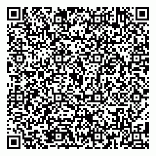 vCard 79185010003