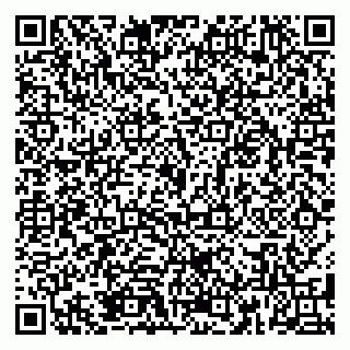 vCard 79185010017