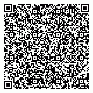 vCard 79185010019