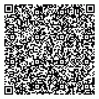 vCard 79185010021