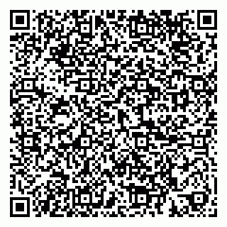 vCard 79185010027