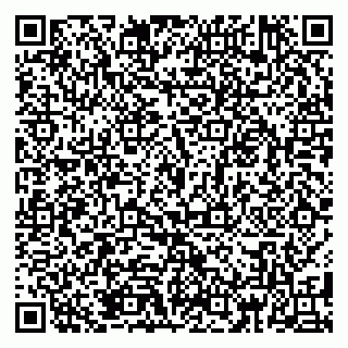 vCard 79185010063