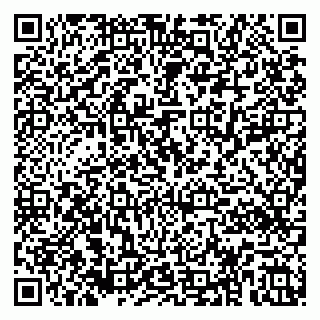 vCard 79185010098