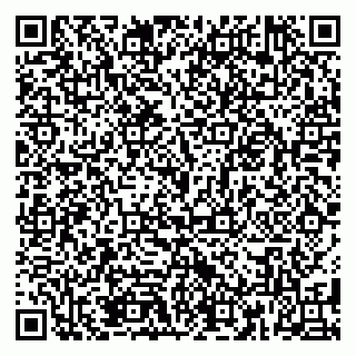 vCard 79185010113