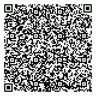vCard 79185010119