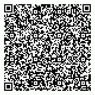 vCard 79185010287