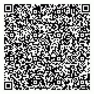 vCard 79185010291