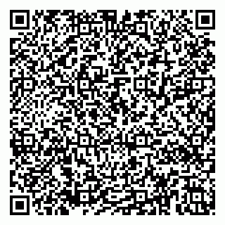 vCard 79185010303