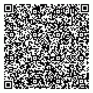 vCard 79185010304
