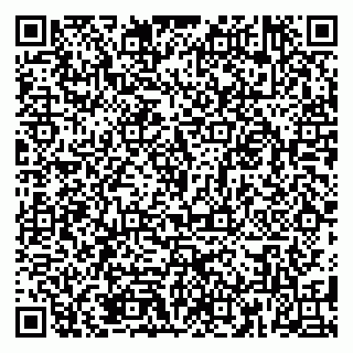 vCard 79185010313