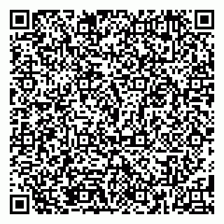 vCard 79185010319