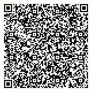 vCard 79185010328