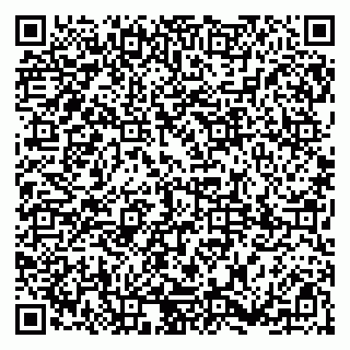 vCard 79185010333