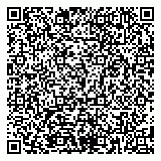 vCard 79185010335