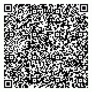 vCard 79185010378