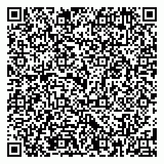 vCard 79185010379