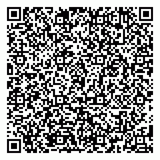 vCard 79185010381