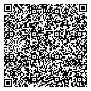 vCard 79185010387