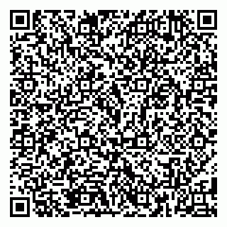 vCard 79185010411