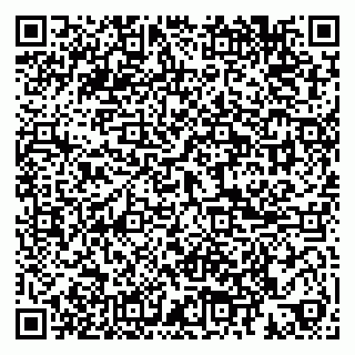 vCard 79185010413